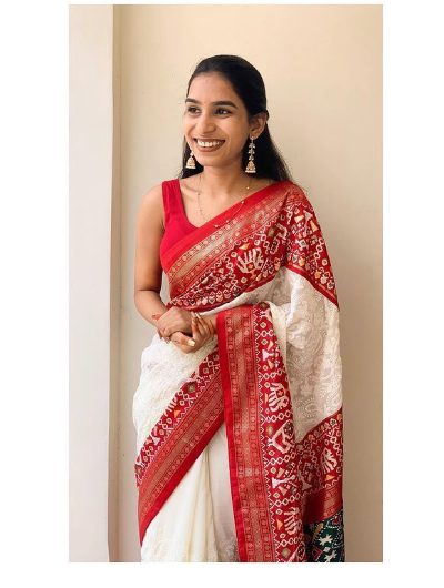 White Red Georgette Chikankari Saree