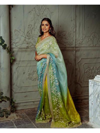 Green Organza Silk Saree With Embroidery Panel Work