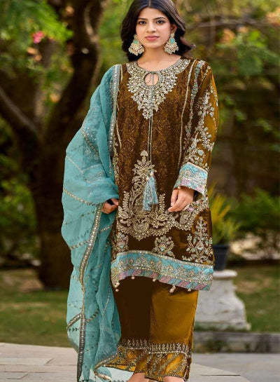 Golden Velvet Salwar Suit with Intricate Sequence Work & Organza Dupatta