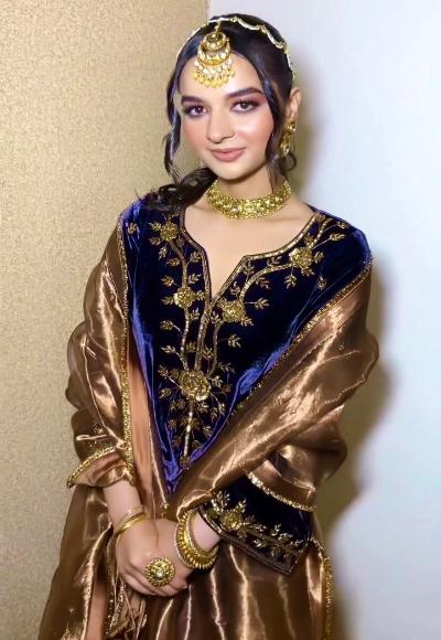 Dark Blue Velvet Embroidery Salwar Suit With Rich Gold Dupatta